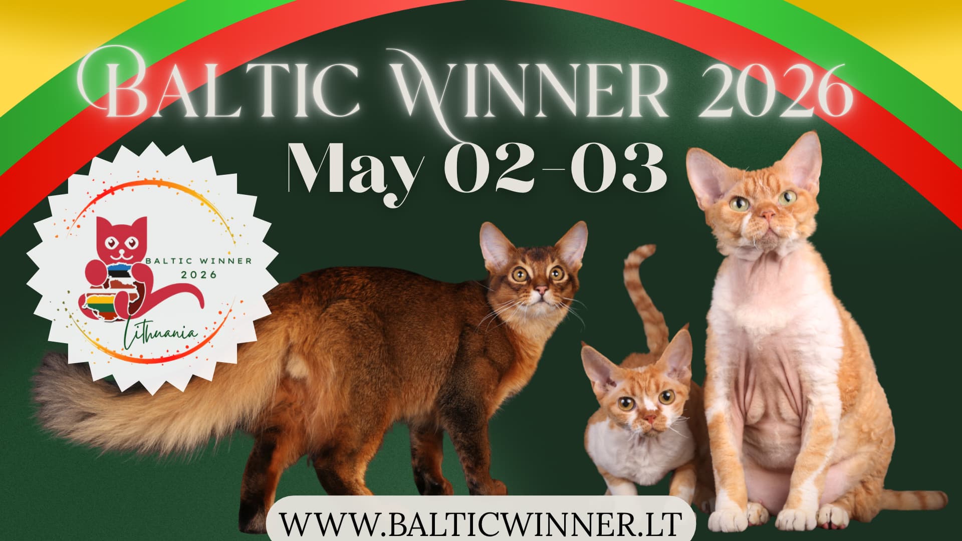 baltic-winner.jpeg?bf7dc502f1786a3c5b34227b9668b3c3