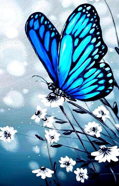 d004880cf14928262dd4c36f871b7167.jpeg?02fd7694f61503a62e738301f03c362e