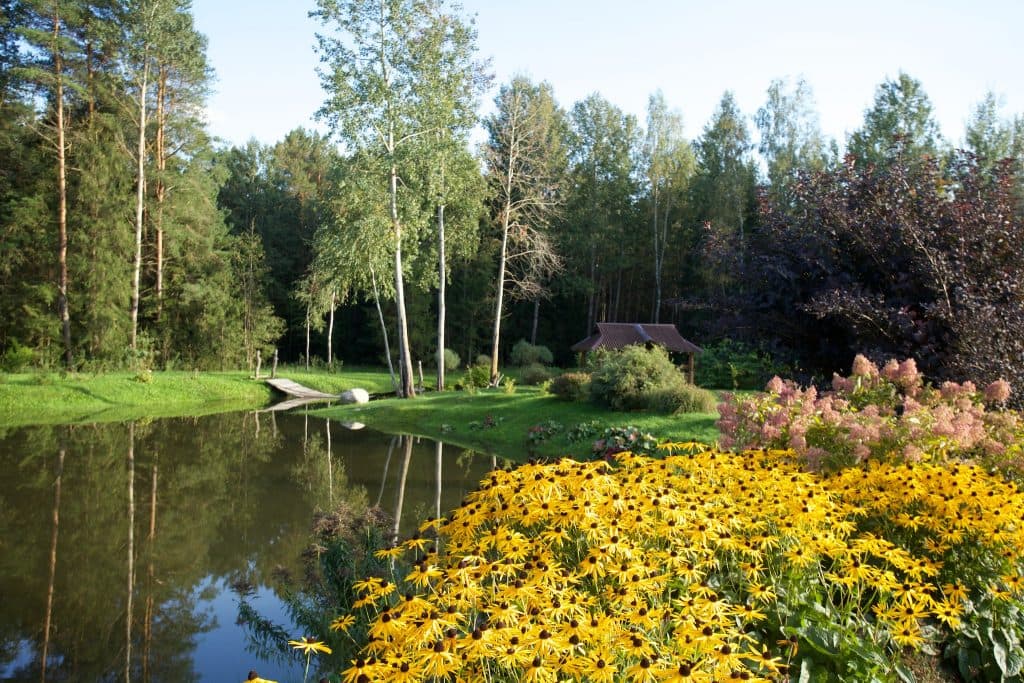 gerv7.jpeg?7a394e11ee2130395694be2317bdb087