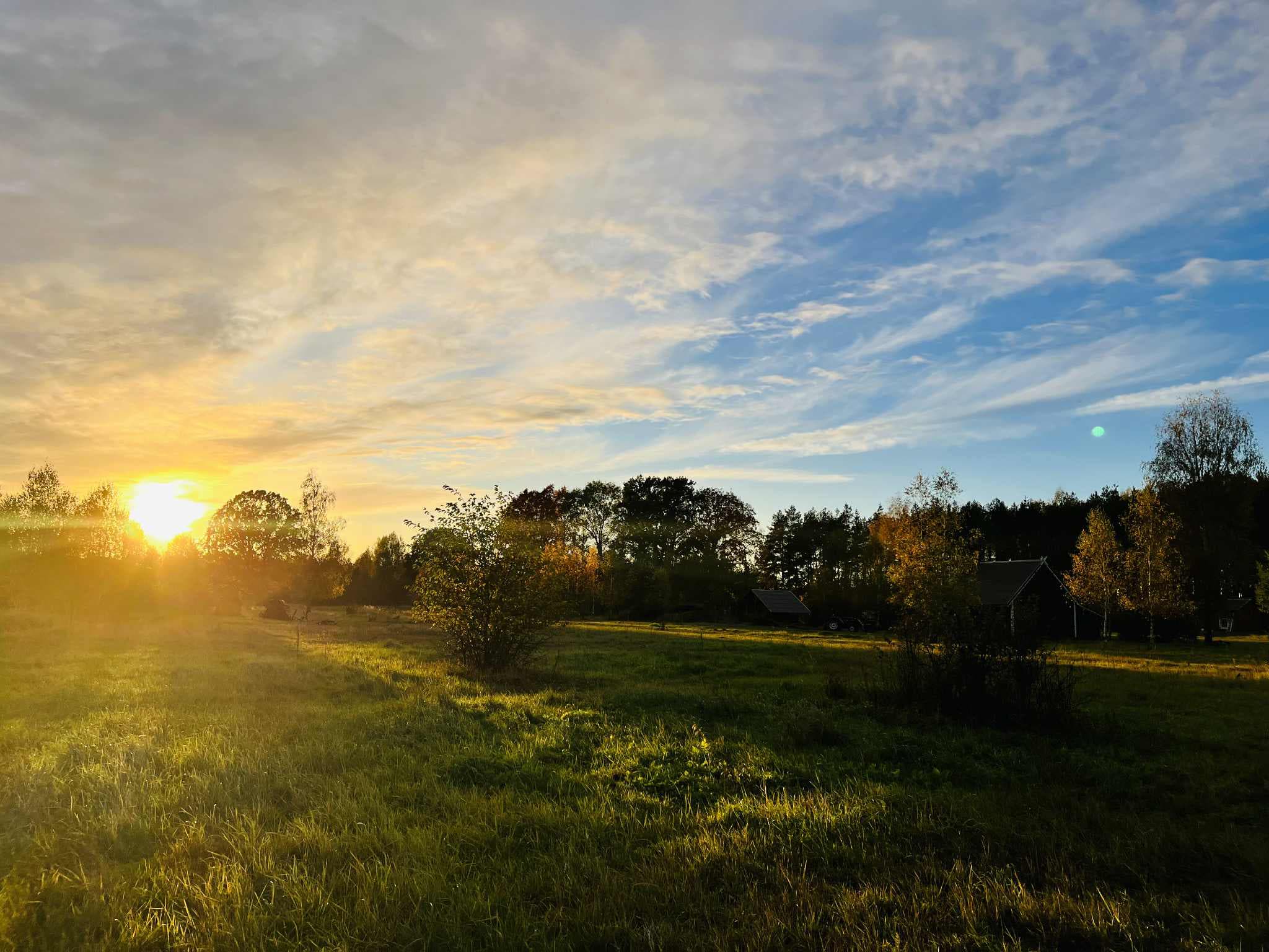 360a7f7e-d11a-46e6-bd1f-d06d691959e5.jpeg?8dc4e27e788dc37cd6336d6f66cb3547