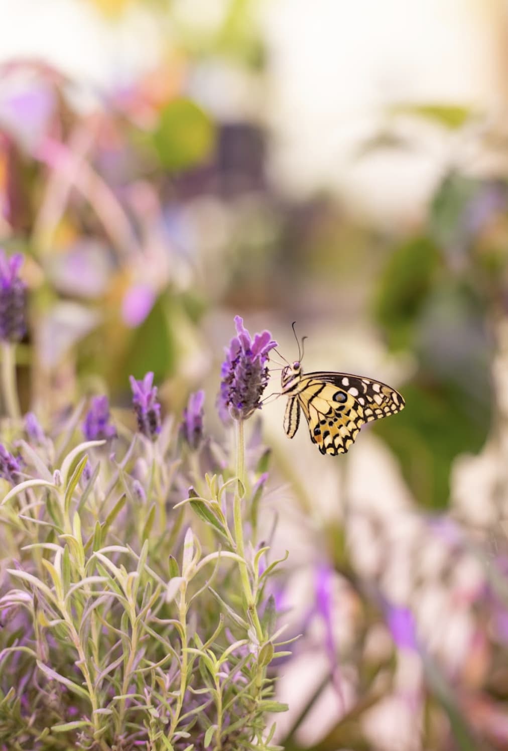 screenshot-2026-01-29-at-13-03-00.jpeg?2f086196e9b559c75d7e81b39915e156