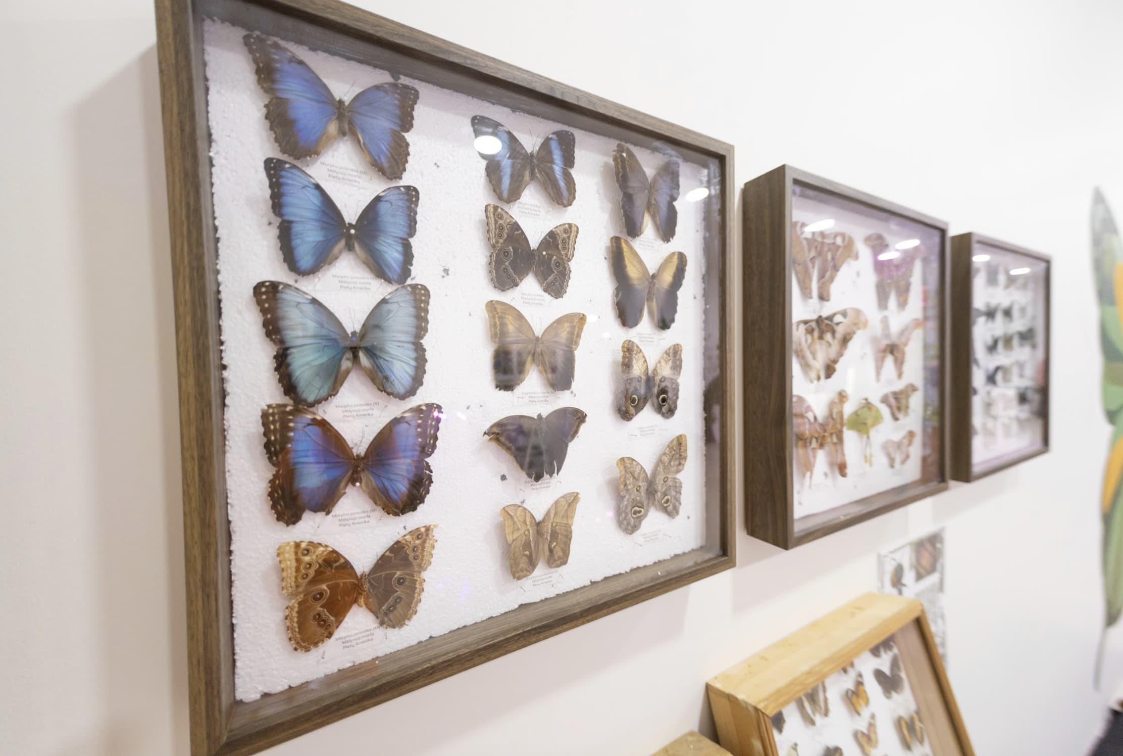 screenshot-2026-01-29-at-13-04-51.jpeg?3fd9a1911319fdc1656dc67f6cb8e66e