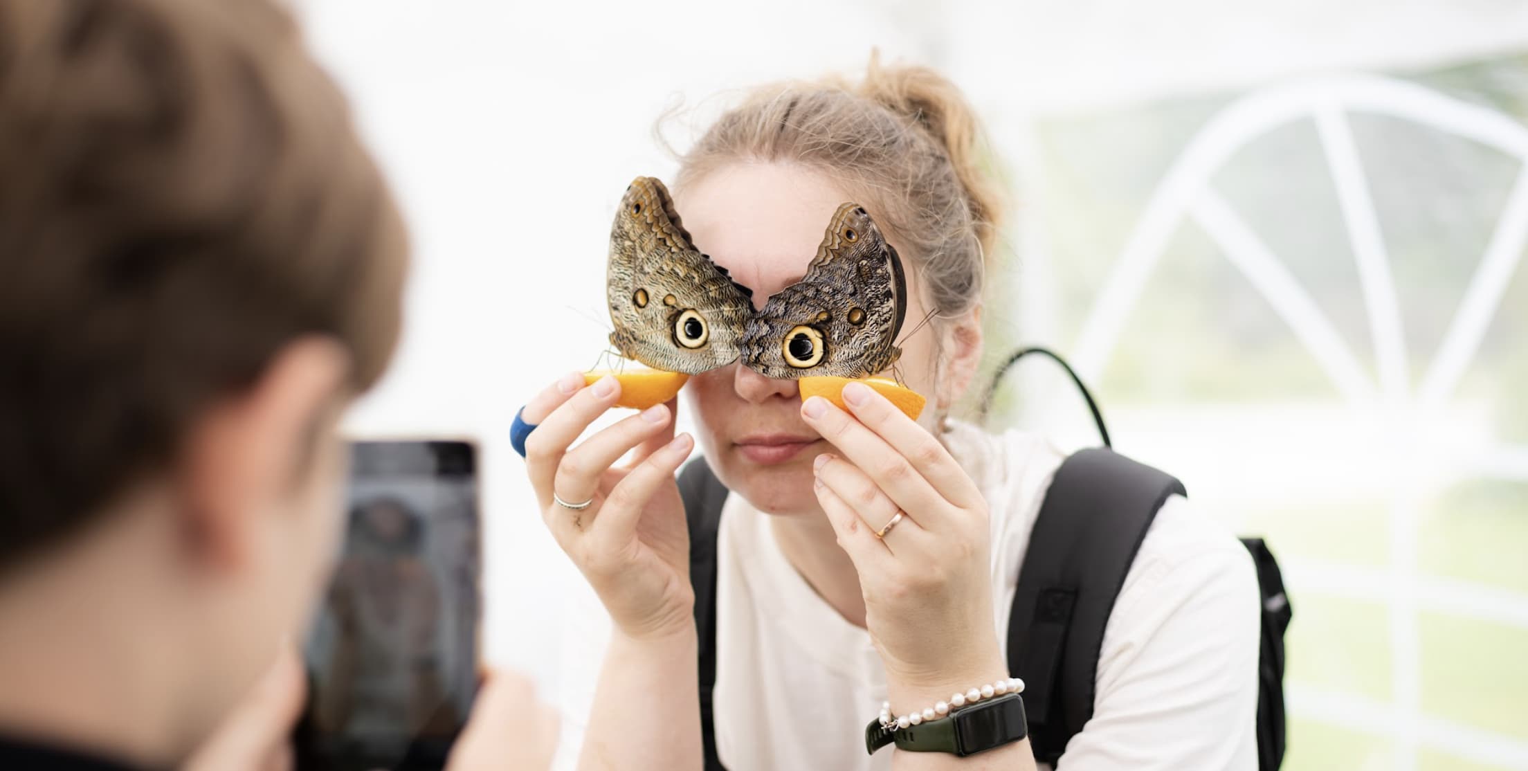 screenshot-2026-01-29-at-13-07-02.jpeg?8b84336d6ed071e5b97edfc3323dcf38