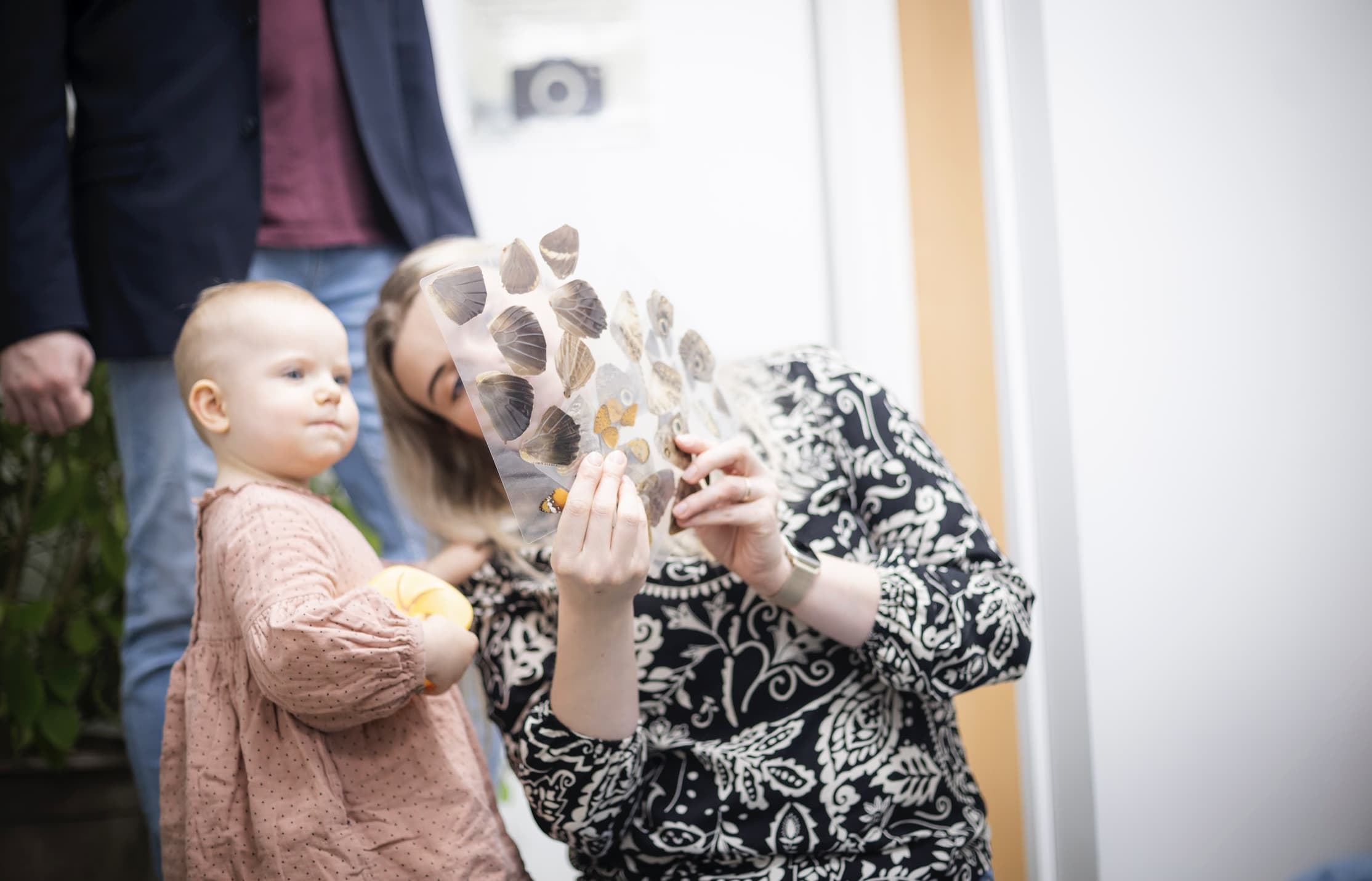 screenshot-2026-03-05-at-12-25-33.jpeg?00ad1d24bcdc6a03e8e989248c788da3