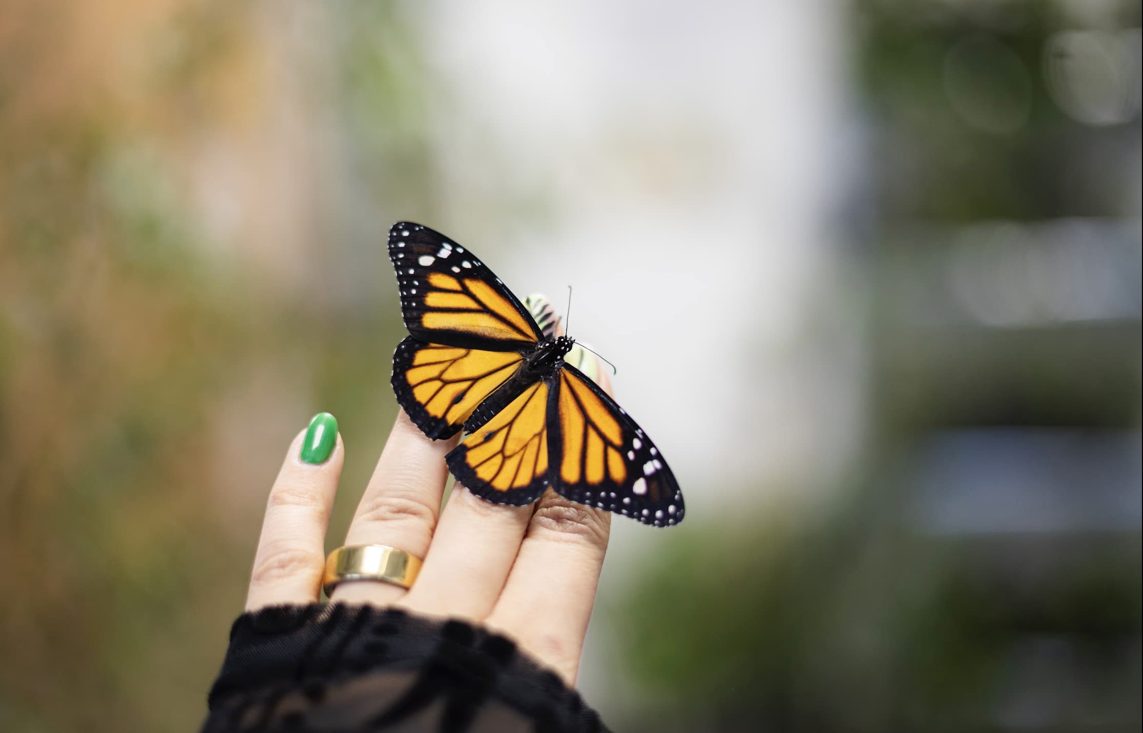 screenshot-2026-03-05-at-12-33-46.jpeg?e921ef4d913888558b7fa2721a7d06a2