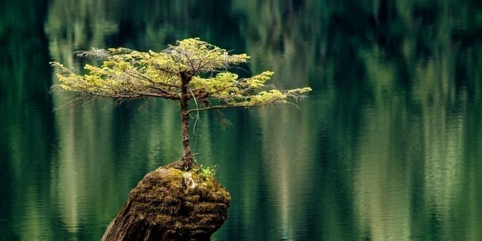 MINDFULNESS vasaros stovykla 2026 06|19-20-21dienomis