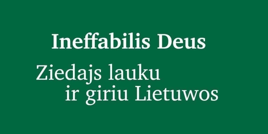 Ekskursija po parodą „Ineffabilis Deus. Ziedajs lauku ir giriu Lietuwos“