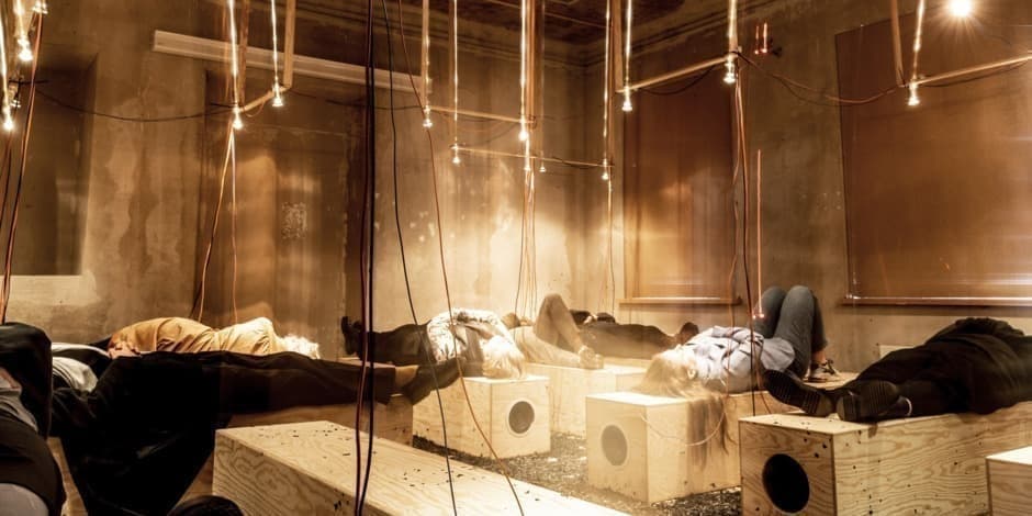 Vegetacinė būklė | VDA Telšių galerija