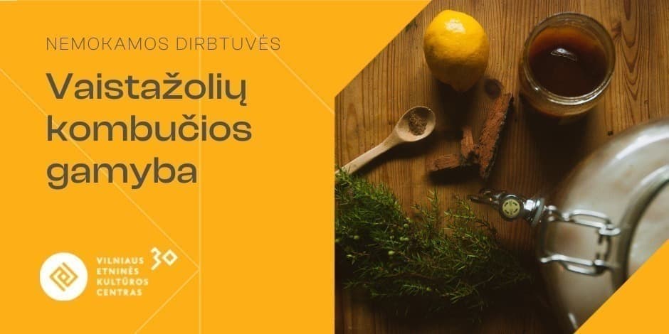 Vaistažolių kombučios dirbtuvės | Herbal Kombucha Workshop
