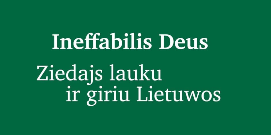 Ekskursija su kuratoriumi po parodą „Ineffabilis Deus. Ziedajs lauku ir giriu Lietuwos“