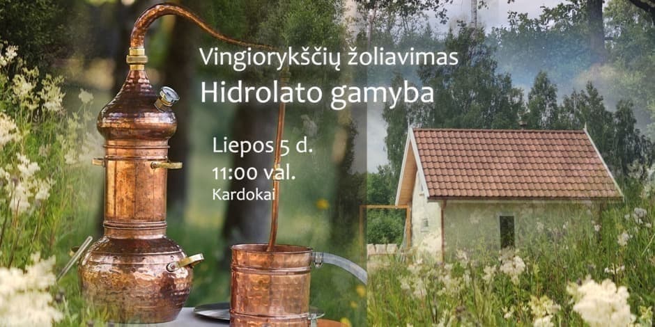 Vingiorykščių žoliavimas ir hidrolato gamyba