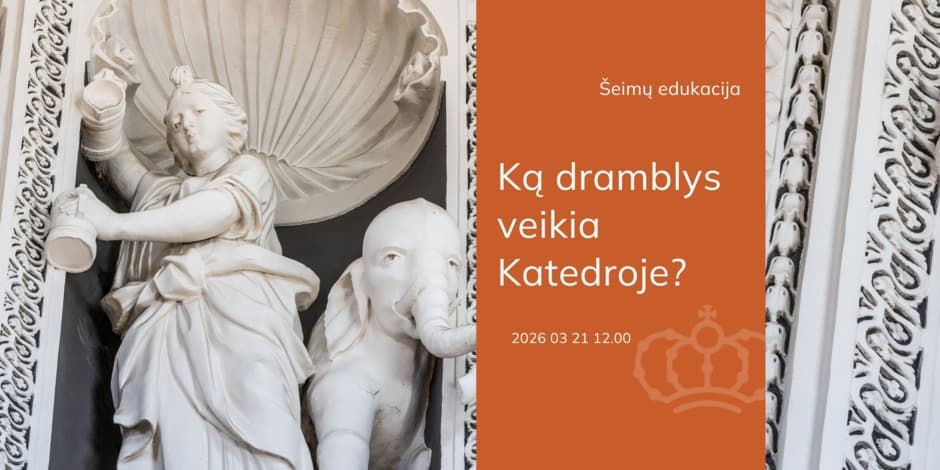 Šeimų edukacija „Ką dramblys veikia Katedroje?“