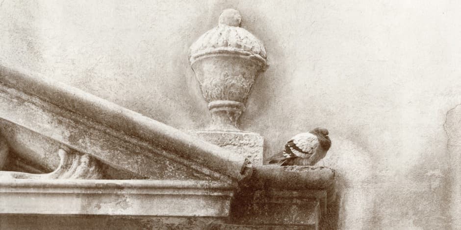 Meno degustacija gegužės 20 d.