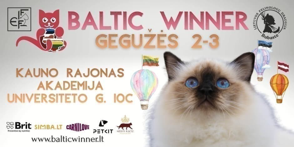 Tarptautinė kačių paroda "Baltic winner"