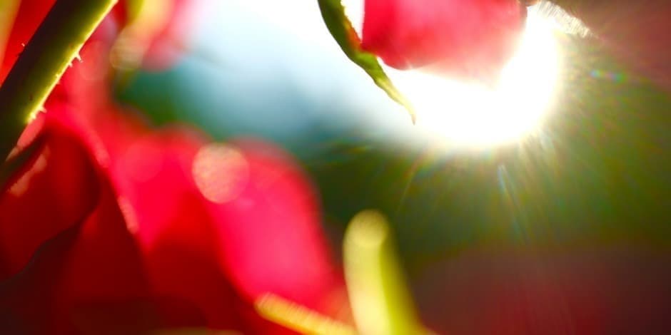 Rekolekcijos su bibliodrama „Gailestingumo spalvos“