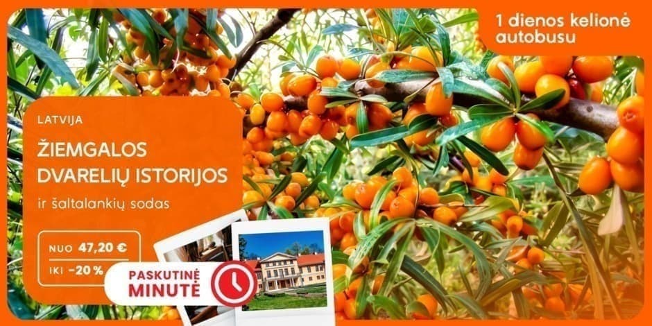 Žiemgalos dvarelių istorijos ir šaltalankių sodas (iš Kauno per Vilnių, Ukmergę ir Panevėžį) /PVM apmokestinimui taikoma marža/