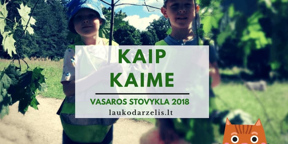 Vasaros lauko stovykla 2018 (Vilniuje ir Kaune)