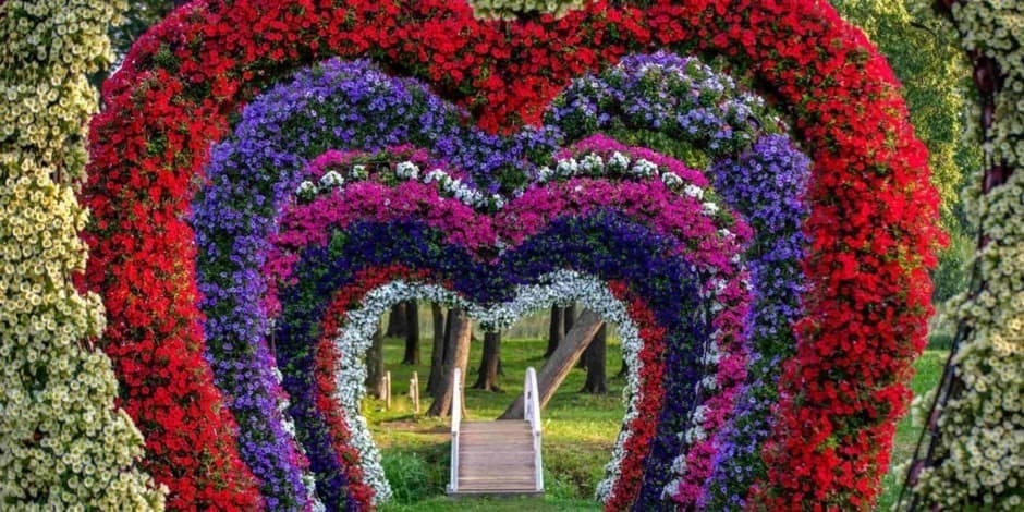 Фестиваль цветов, искусства и любви