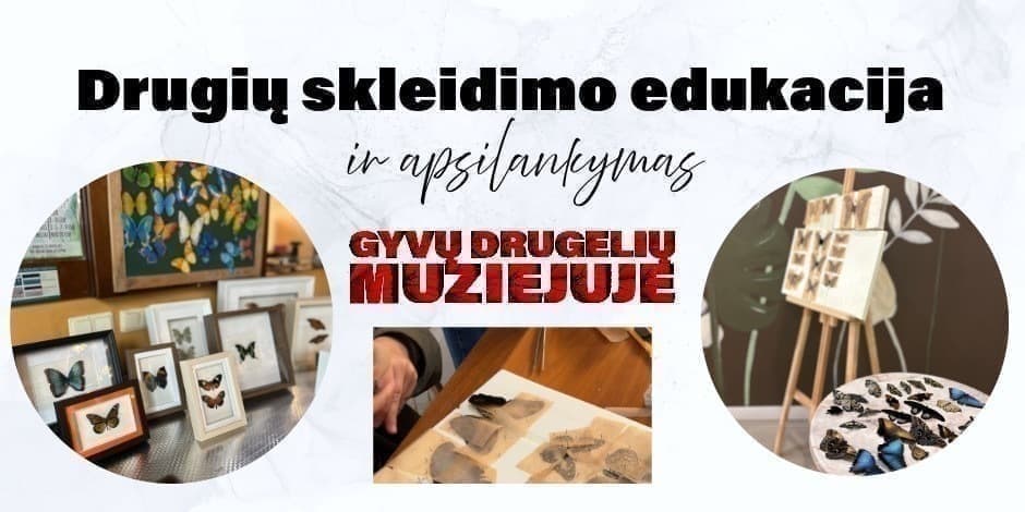 Drugių skleidimo edukacija + apsilankymas Gyvų drugelių muziejuje