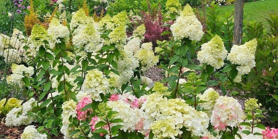 Sigulda un Augustes iedvesmas dārzi