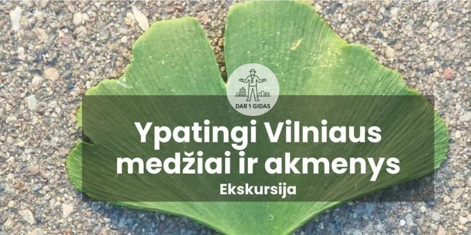 Ekskursija Ypatingi Vilniaus medžiai ir akmenys