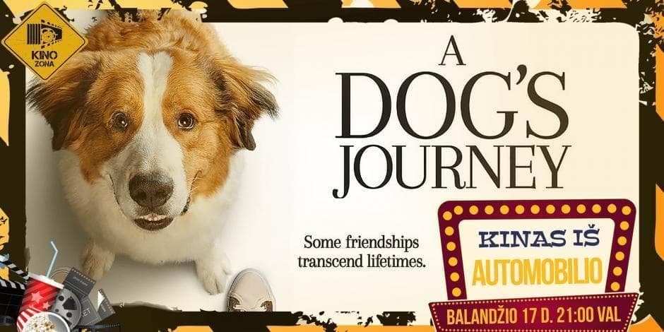 Kinas iš Automobilio Alytuje! Filmas Šeimai - “Šuns tikslas 2” (angl. Dog’s Journey)