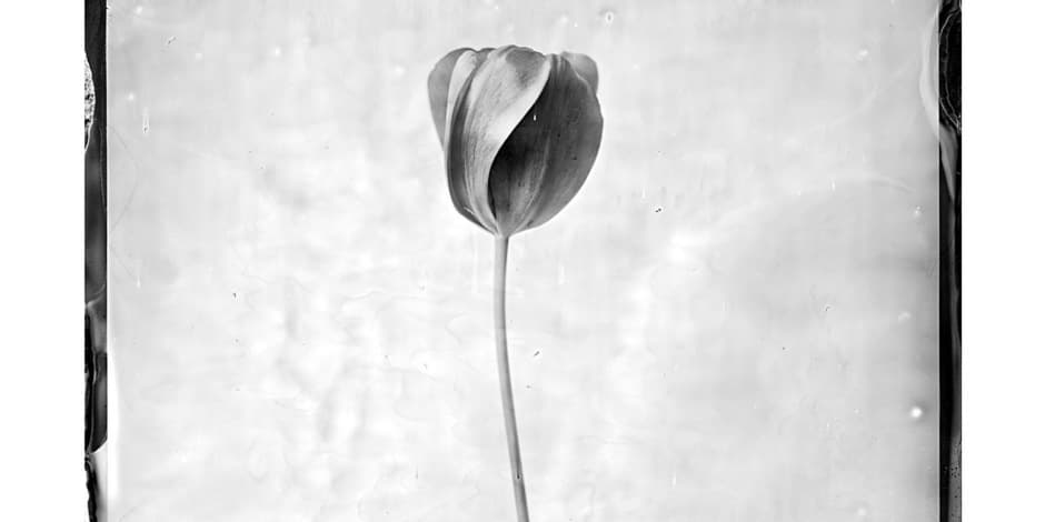 Meno degustacija vaikams spalio 26 d.