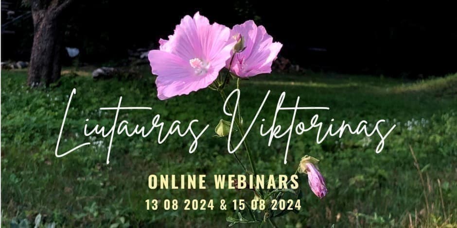 Saviugda, savigyda, meditacijos praktikos