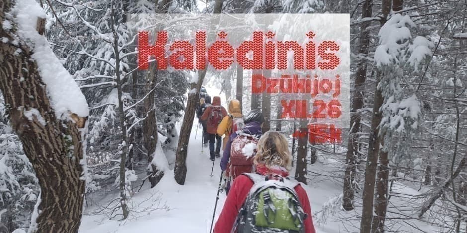 KalĖDinis žygis Dzūkijoj