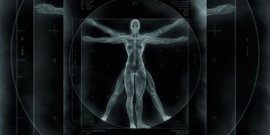 Kūno analizės mokymai