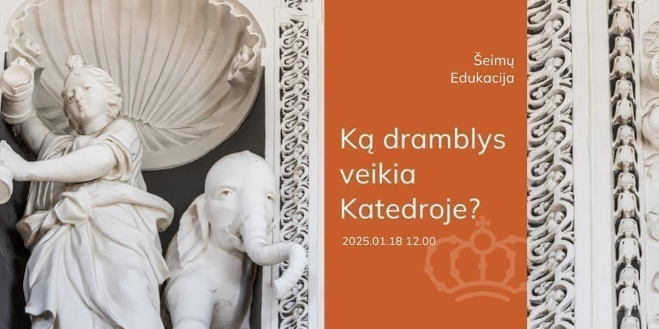 Šeimų edukacija „Ką dramblys veikia Katedroje?“