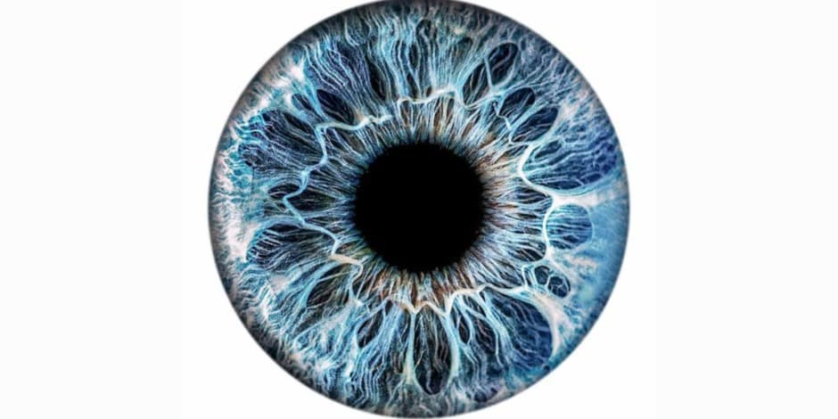 Akių analizės mokymai