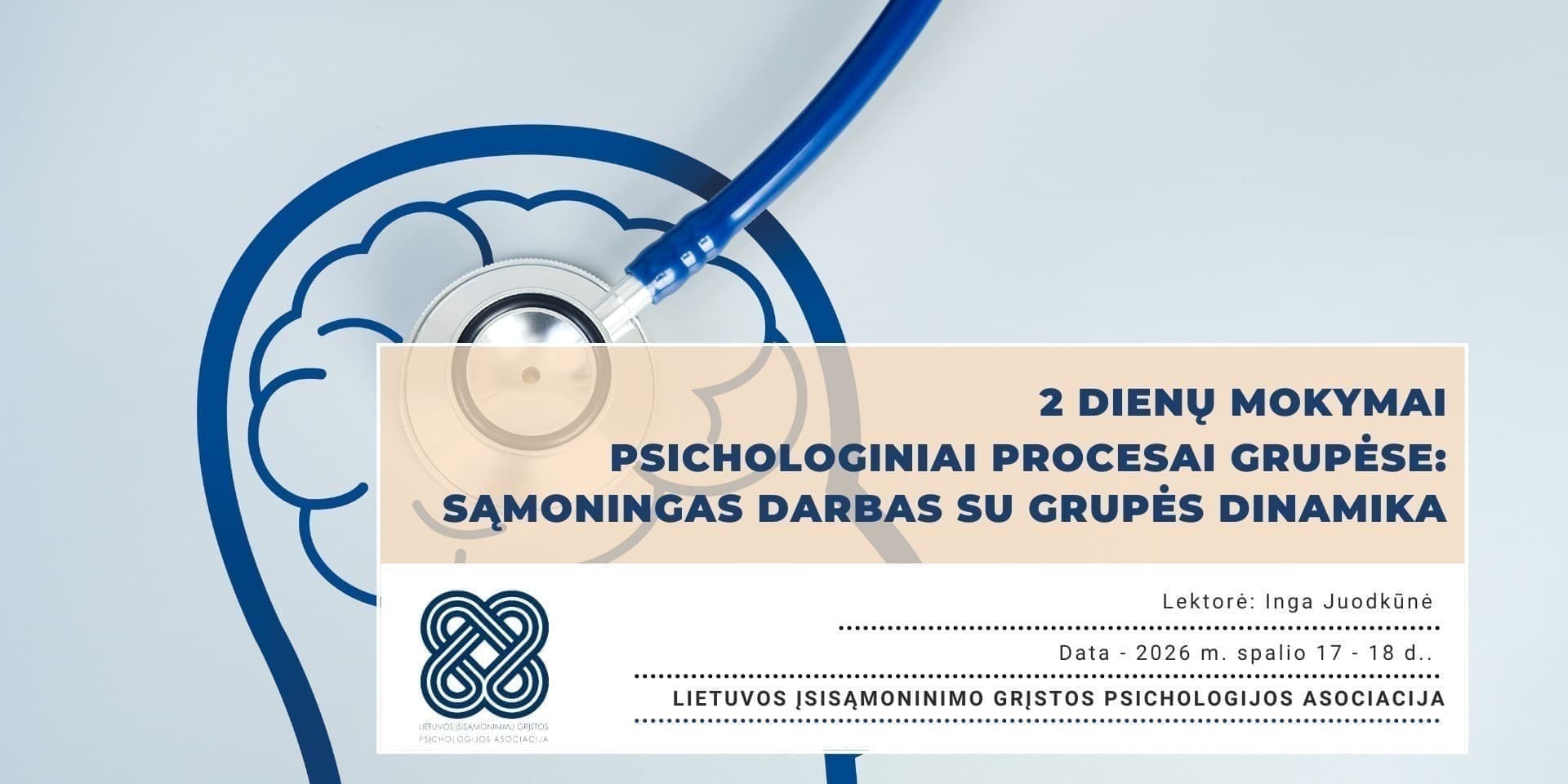 Psichologiniai procesai grupėse: sąmoningas darbas su grupės dinamika