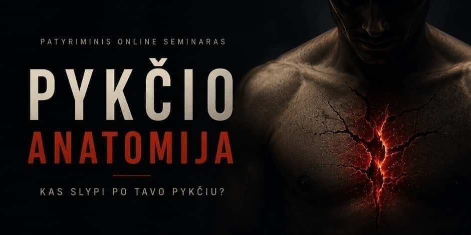 Pykčio anatomija - patyriminis online seminaras