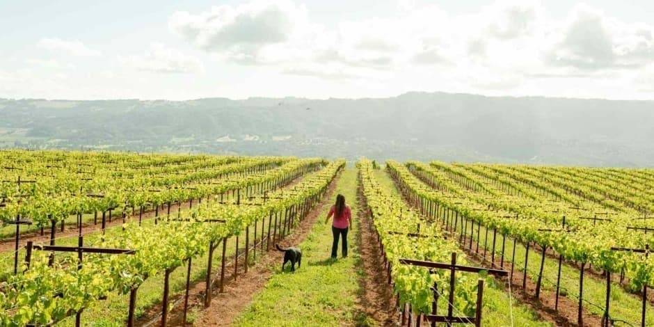 Moterų vyndarių vyno degustacija I KLAIPĖDA