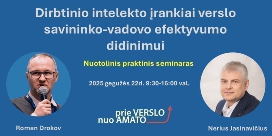 DI įrankiai verslo savininko-vadovo efektyvumo didinimui