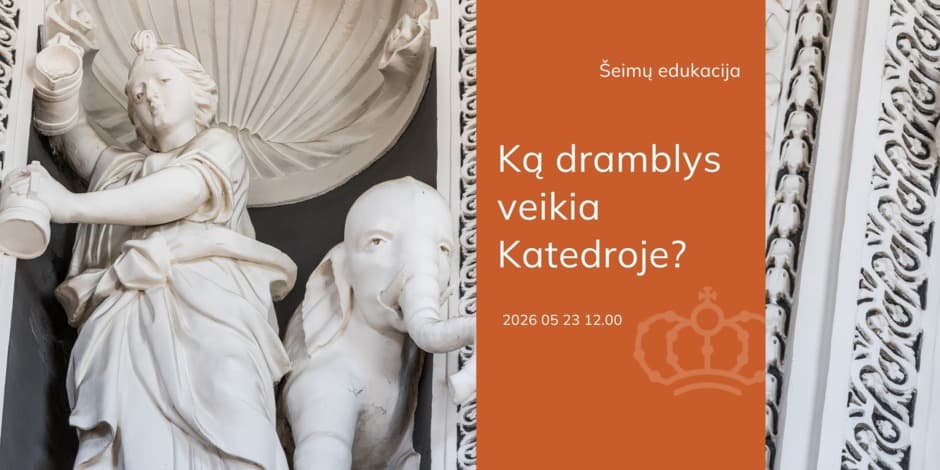 Šeimų edukacija „Ką dramblys veikia Katedroje?“