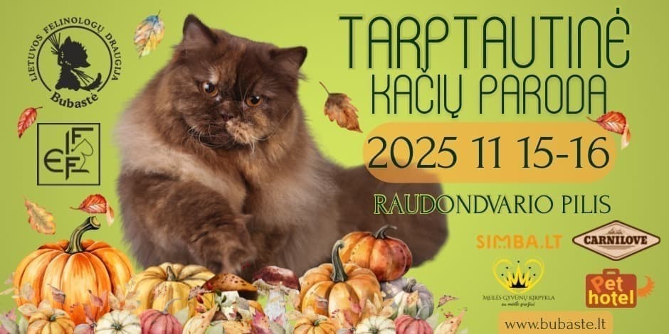 Tarptautinės kačių paroda Kaune "Red castle cat show“