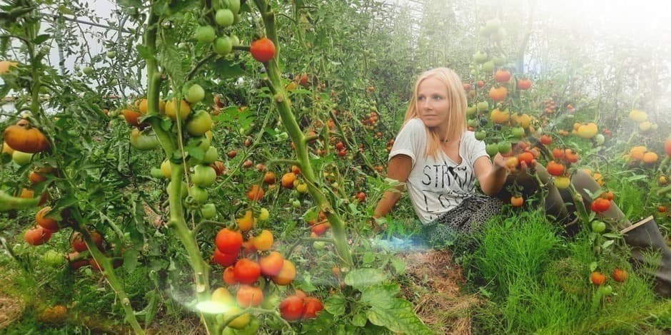 Vilkė Vaida: Kaip miestiečiui rasti prigimtinį maistą sintetinės chemijos džiunglėse? (Kaunas)