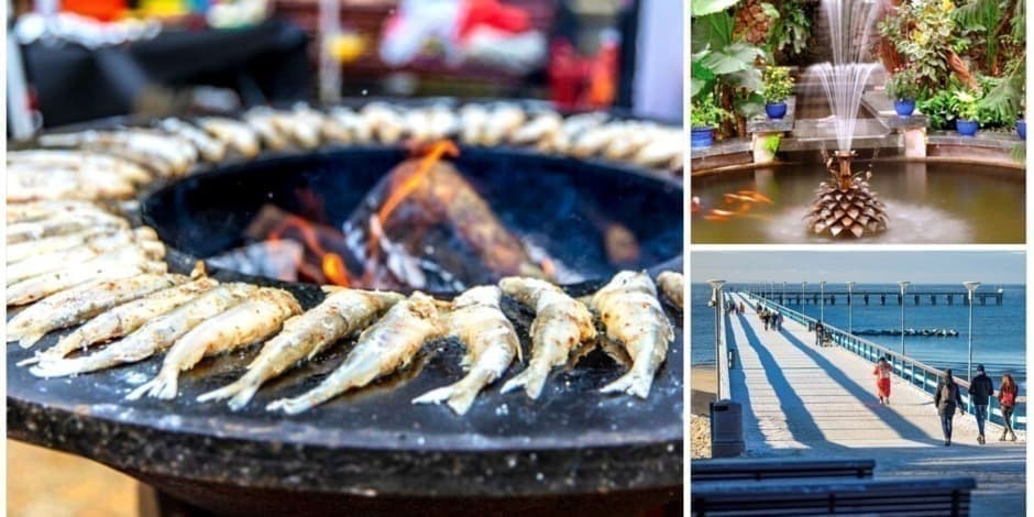 Registracija į kelionę: Žvejiškas festivalis ,,Palangos stinta“, aplankant Kretingos dvarą ir žiemos sodą (iš Vilniaus, Kauno, Kėdainių ir Raseinių) /REGISTRACIJA PATVIRTINAMA PO APMOKĖJIMO