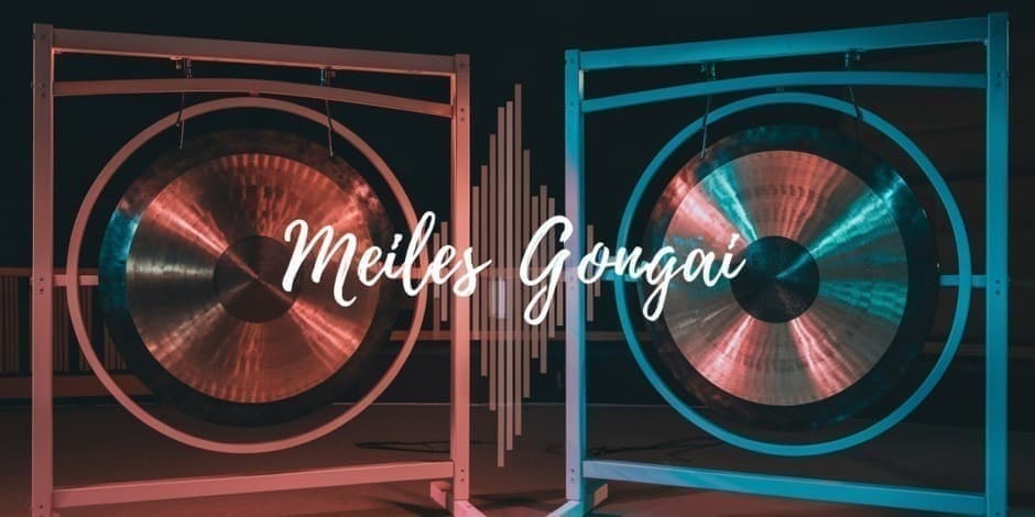 Meilės Gongų koncertas - vakaras Vilniuje. Veda Ramunė ir Vyrenijus