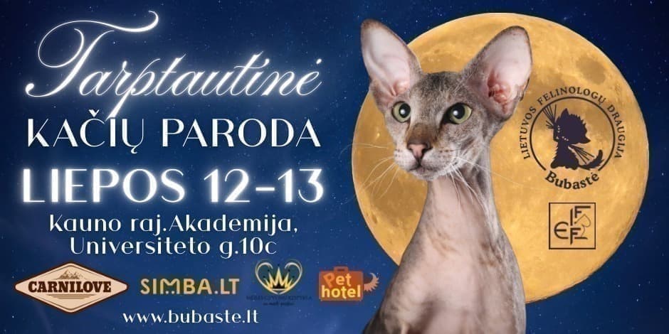 Tarptautinė kačių paroda " Kačių vasara"