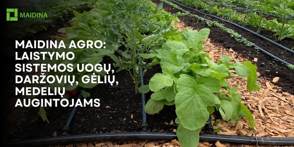 Maidina AGRO: laistymo sistemos uogų, daržovių, gėlių, medelių augintojams