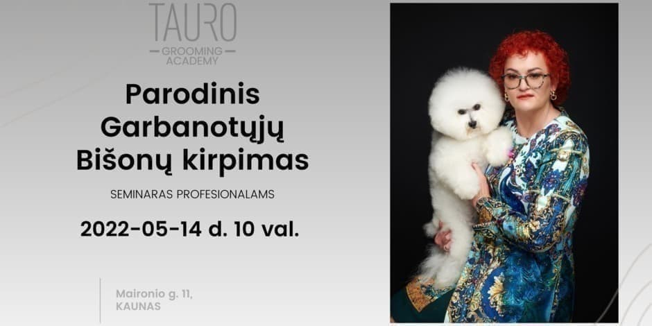 PARODINIS GARBANOTŲJŲ BIŠONŲ KIRPIMAS