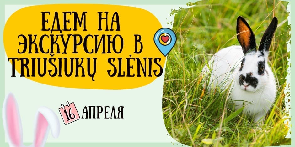 Поездка в Triušiukų slėnis