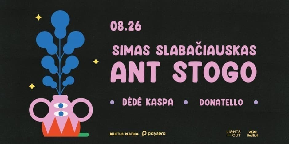 08.26 Simas Slabačiauskas ant stogo