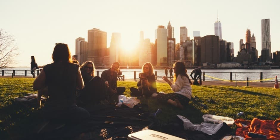 Anatomy of a Scientific Study