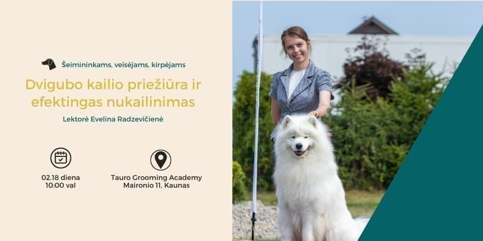 Augintinio priežiūros pamoka su profesionaliu groomeriu