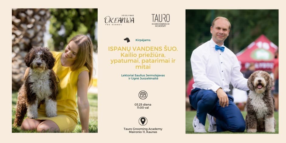 ISPANŲ VANDENS ŠUO. Kailio priežiūra, ypatymai, patarimai ir mitai