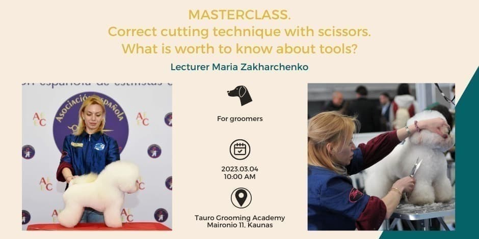 Masterclass Correct Cutting Technique With Scissors What Is Worth To